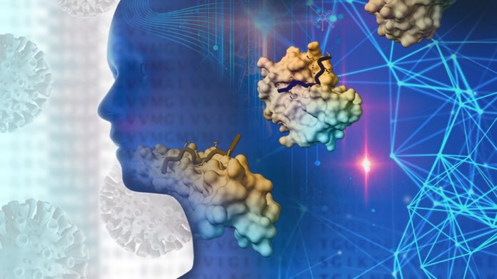 From Brain Fog to Mental Clarity: Curcumin's Impact on Cognitive Health