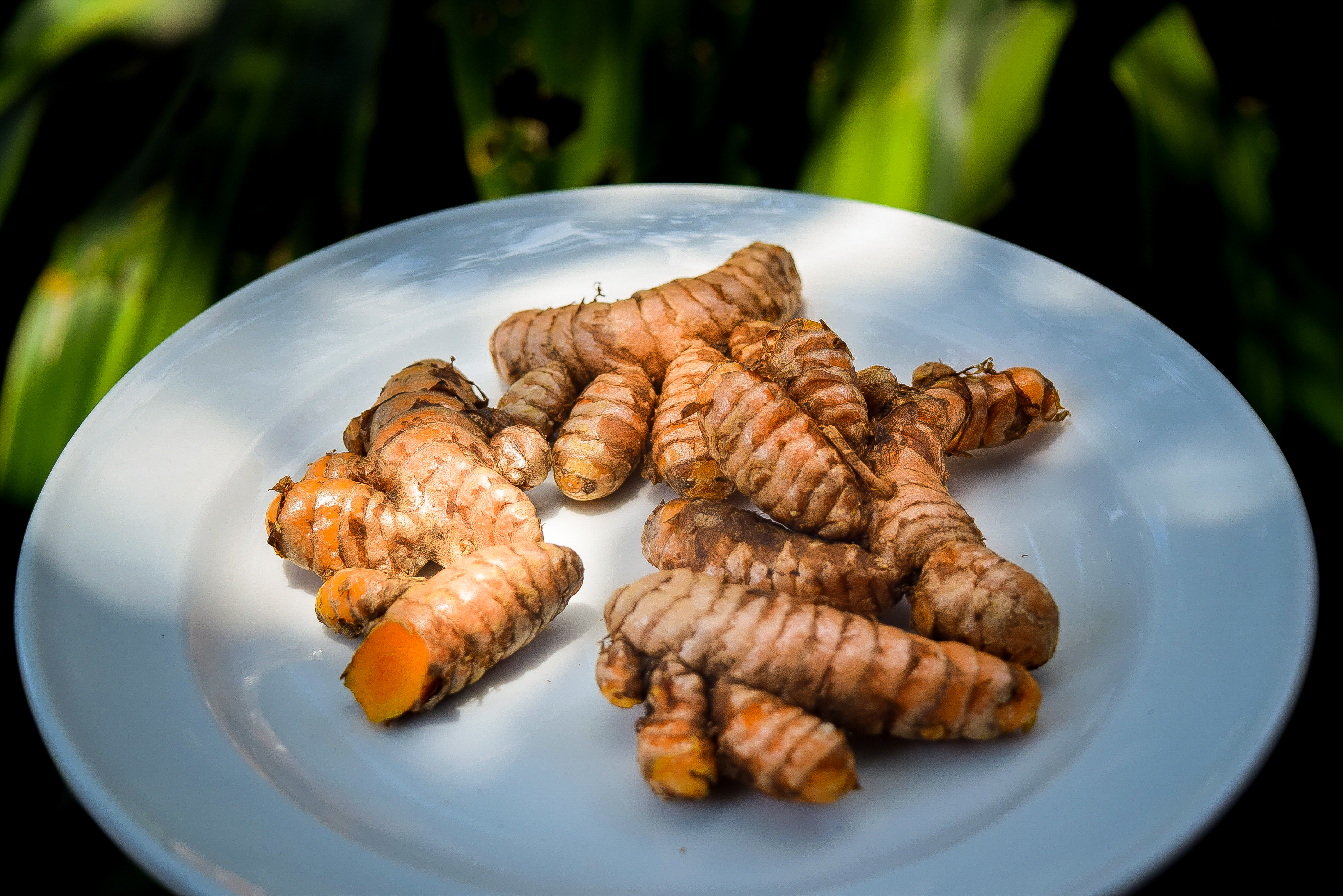 Unveiling the Healing Powers: Curcumin's Journey From Traditional Medicine to Modern Wellness
