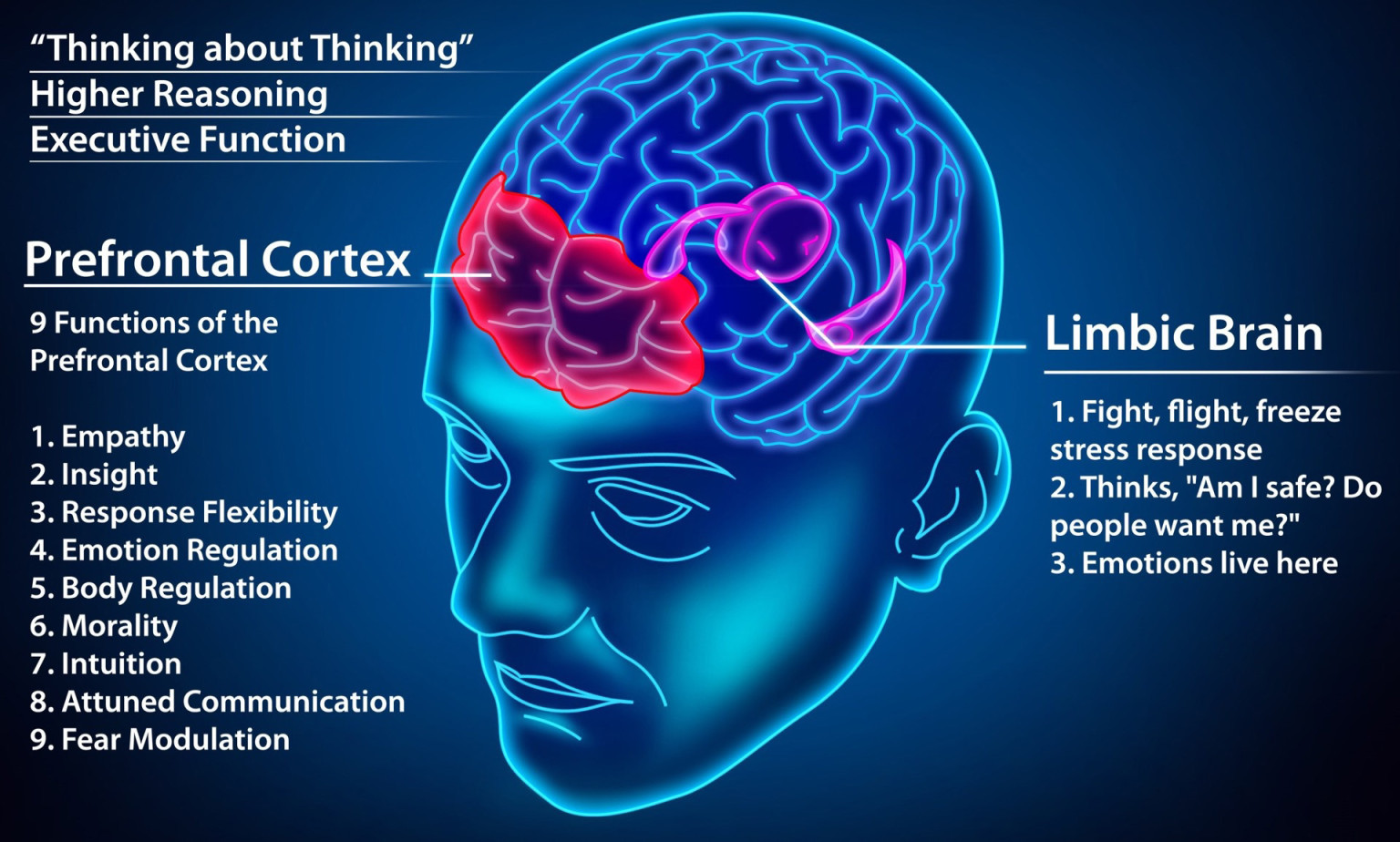 - Understanding How Curcumin Can Improve Brain Function
