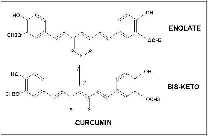 Curcumin: The Golden Spice for Optimal Health